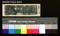 藏品(じをり型學習博物館：青森縣のりんど畑)的圖片